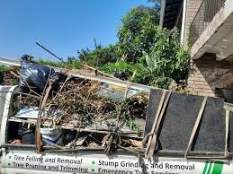 Best Residential Junk Removal  in Delevan, NY